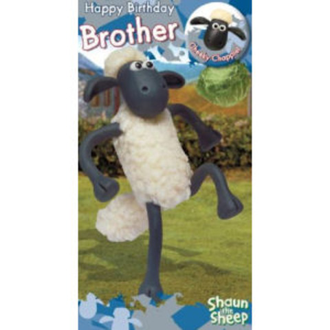 My Brother's Birthday