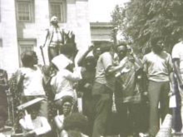 Executive Organisation Act