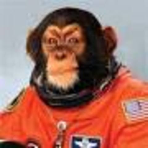 Space Monkey