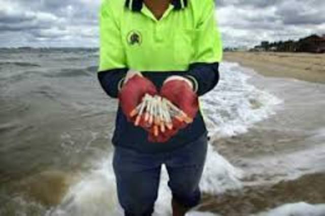 Hypodermics on the shore: