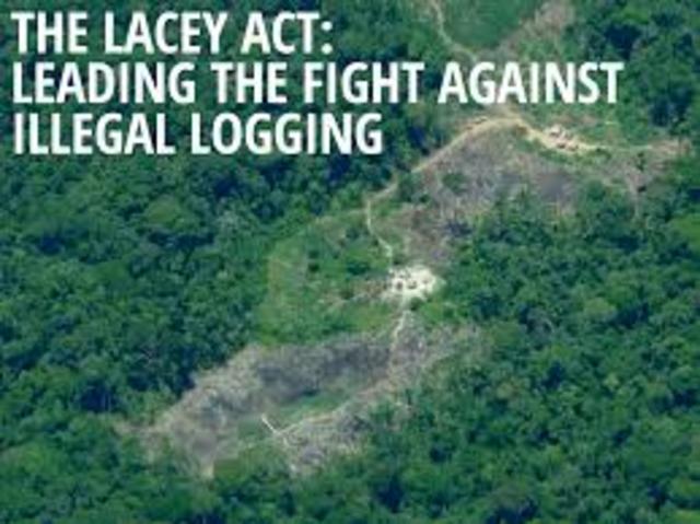 the lacey act