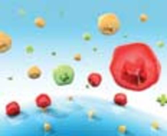 Anticuerpos de acción dual