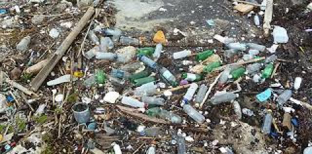 Hypodermics on the shore