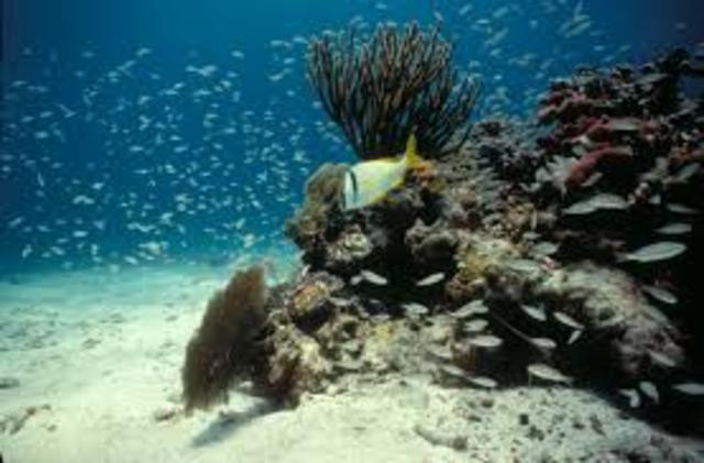 Biscayne National Park is established