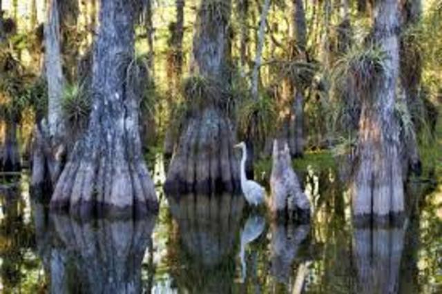 Everglades National Park is established