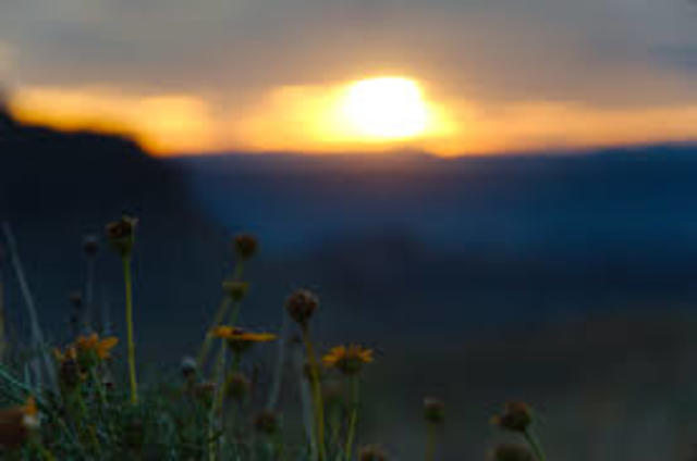 Big Bend National Park is established