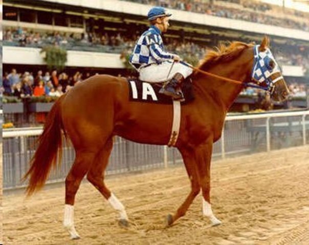 Woodbine Racecourse Final Career Race