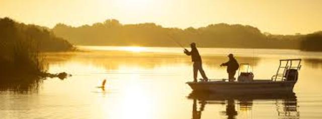 fing meinen ersten Fisch