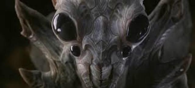 Ender starts watching bugger vidoes