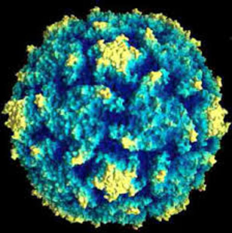 Virus por paliomielitis