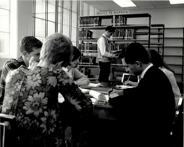Library's initial book collection provided through McMaster University agreement