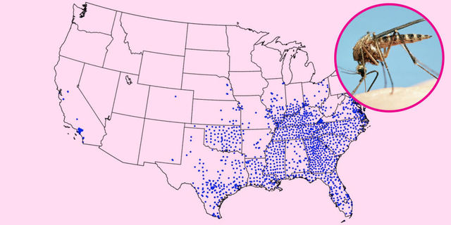 First Case in the US