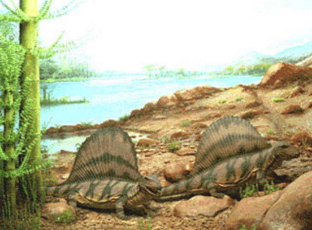 Paleozoic Era 500- 250 million years ago
