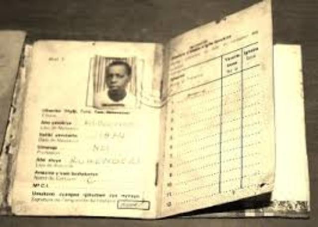 Identification Cards