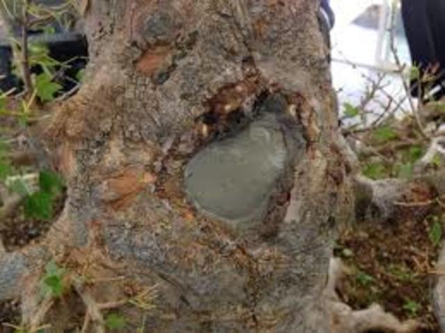 The hole is filled with cement