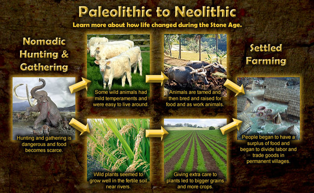 Agricultural Revolution