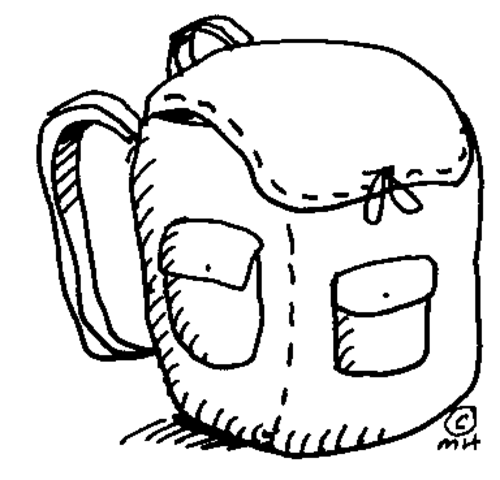 I go to public school.