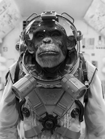 Space Monkey