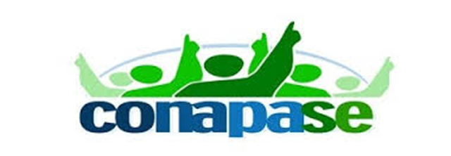 Creación del CONAPASE