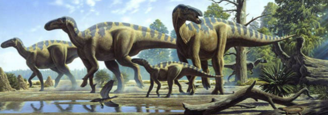 Mesozoic Era~ 250-70 million years