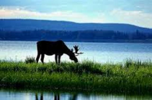 Voyageurs National Park is established