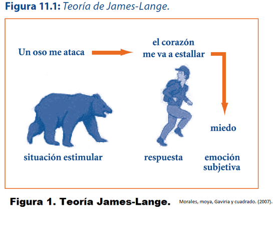 TEORÍA DE JAMES - LANGE