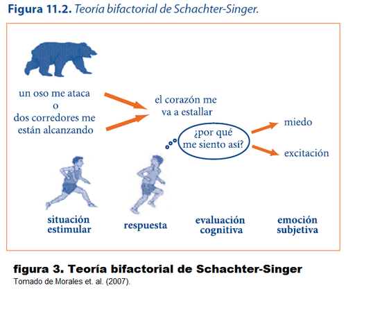 TEORÍA BIFACTORIAL DE SCHACHTER Y SINGER