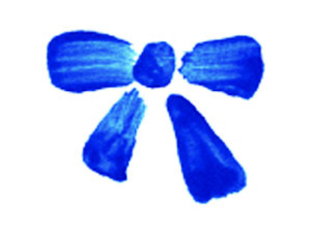 Visita Inspectora General