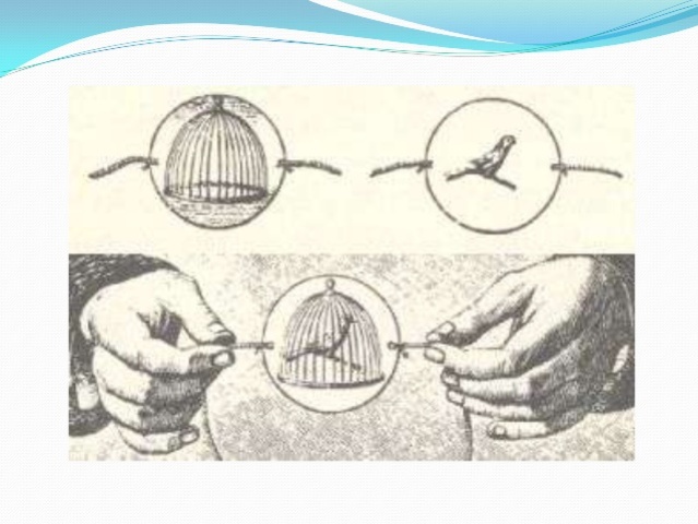 El TAUMATROPO "Persistencia de Visión"