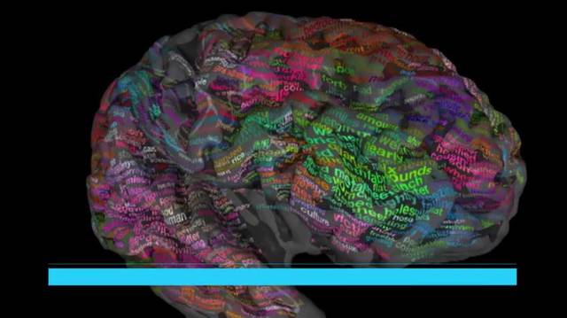 Un atlas del cerebro