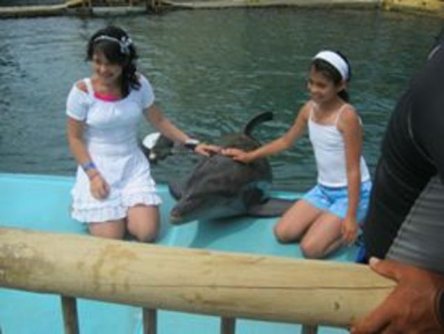 Cumpleaños numero 15.