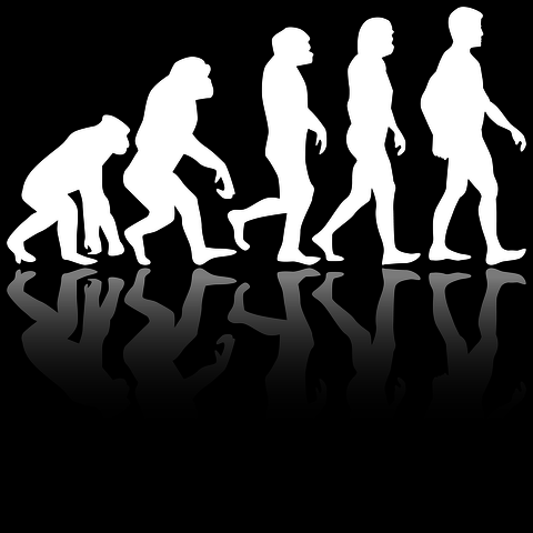 El Evolusionismo