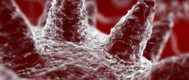 la matriz de sensores electro Biomédica de la aguja