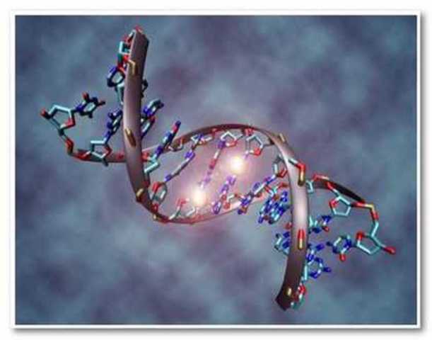 PRIMERA CELULA SINTETICA