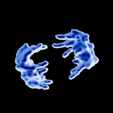 Separacion de cromosomas