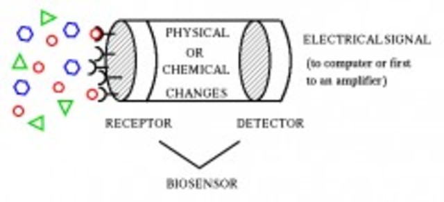 BIOSENSOR