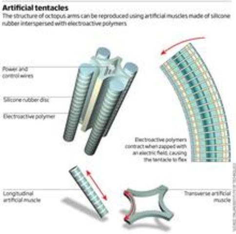 MEJORAN ROBOT TOTALMENTE FLEXIBLE