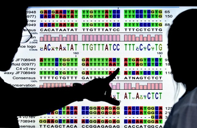 Digitalizar El Genoma