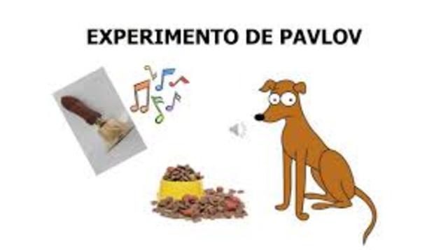 Conductismo de Pavlov