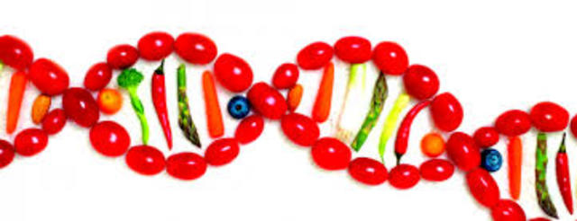 Ingeniería genética