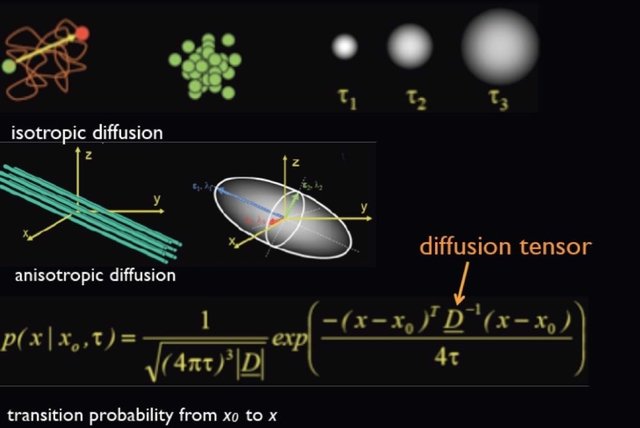 TENSOR DE DIFUSIÓN DE IMGENES