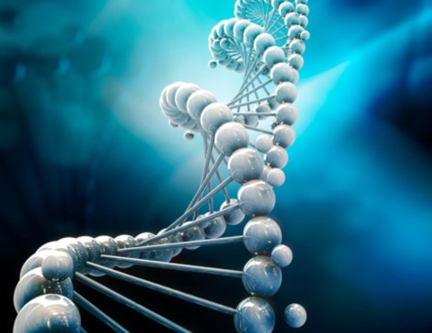 descubrimiento estructura del ADN