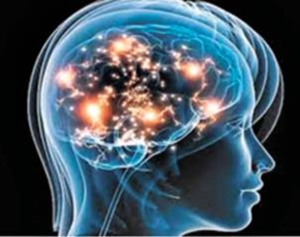 AVANZA CREACIÓN DEL ATLAS DEL CEREBRO