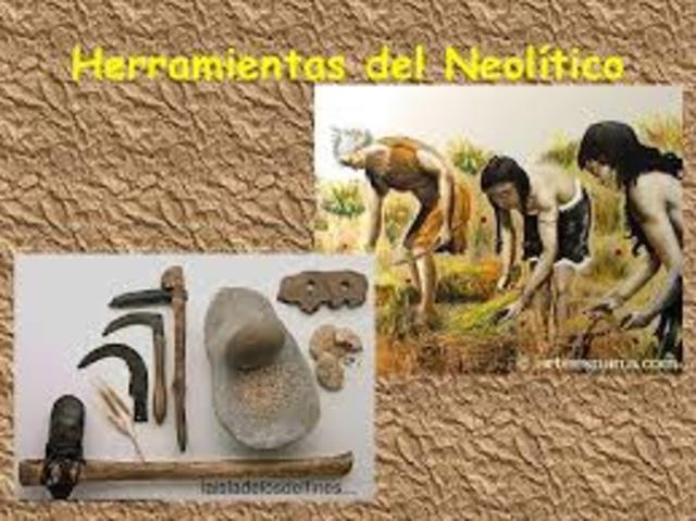 Edad Neolotica