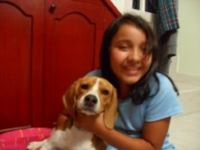 my first and only dog