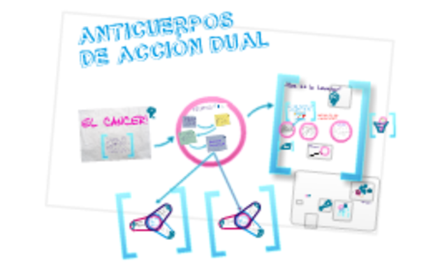 Anticuerpos de acción dual