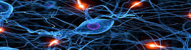 Nanotubos que funcionan como un sistema nervioso