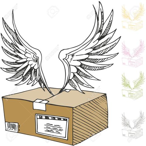 Air Package Delivery