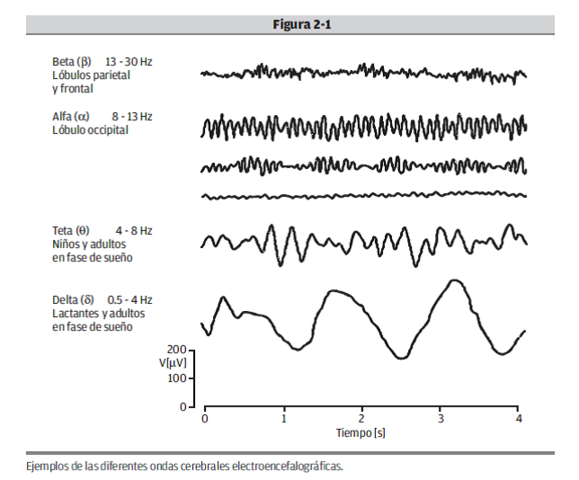 Etapa Postnatal: cambios electroencefalográficos