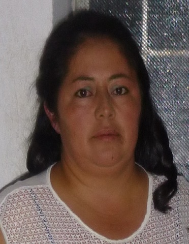 Gloria Palomares Cárdenas